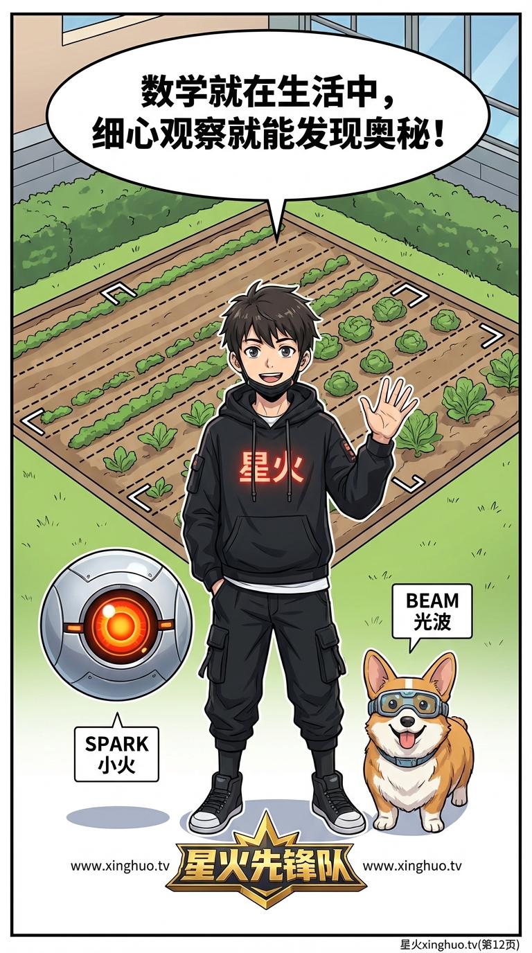 周长与面积的关系解析：概念、经典反例与练习题 | 数学几何教学 - 第 12 页