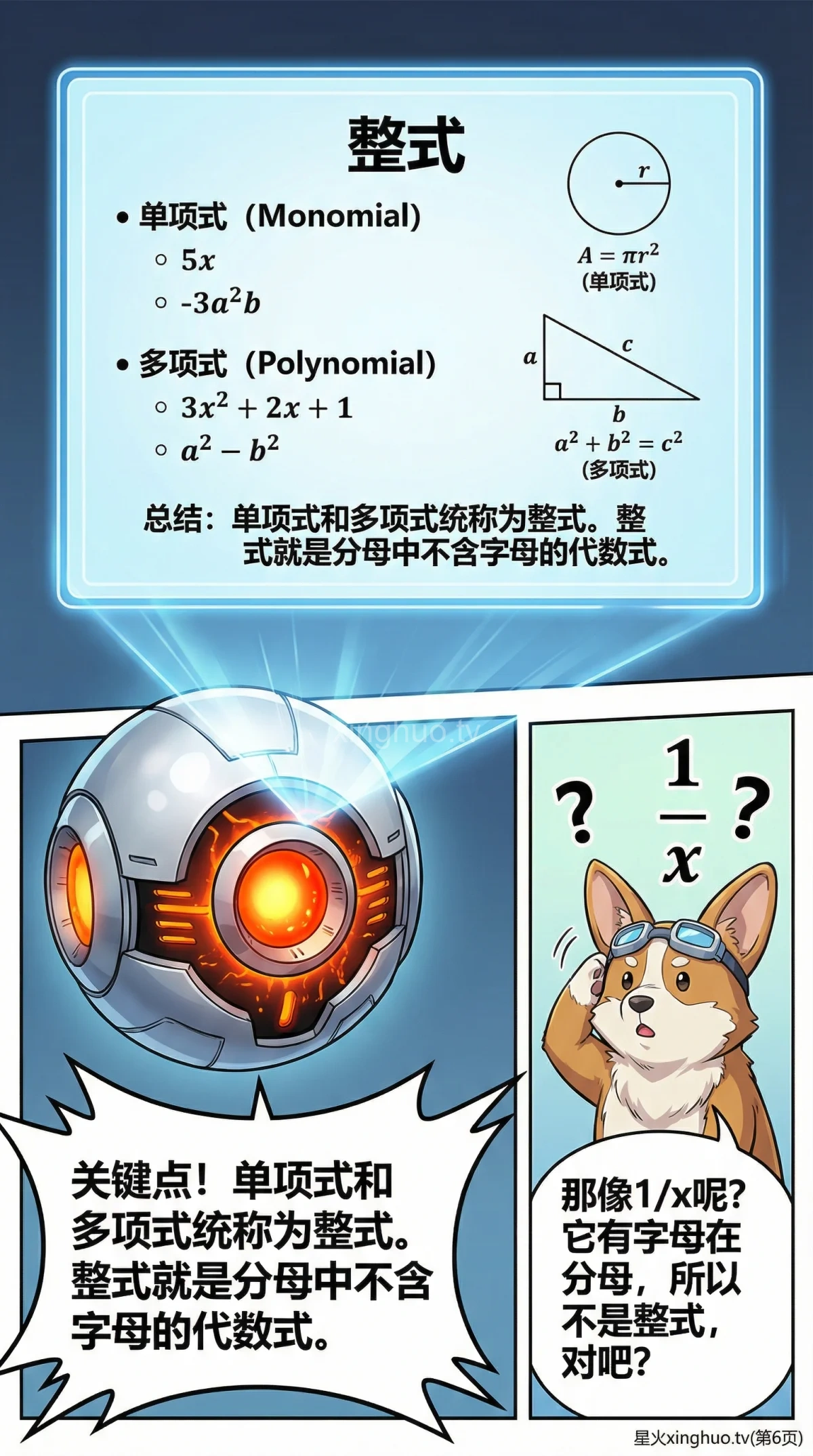 单项式与多项式详解：整式概念、区别与例题解析 | 初中数学代数基础 - 第 6 页