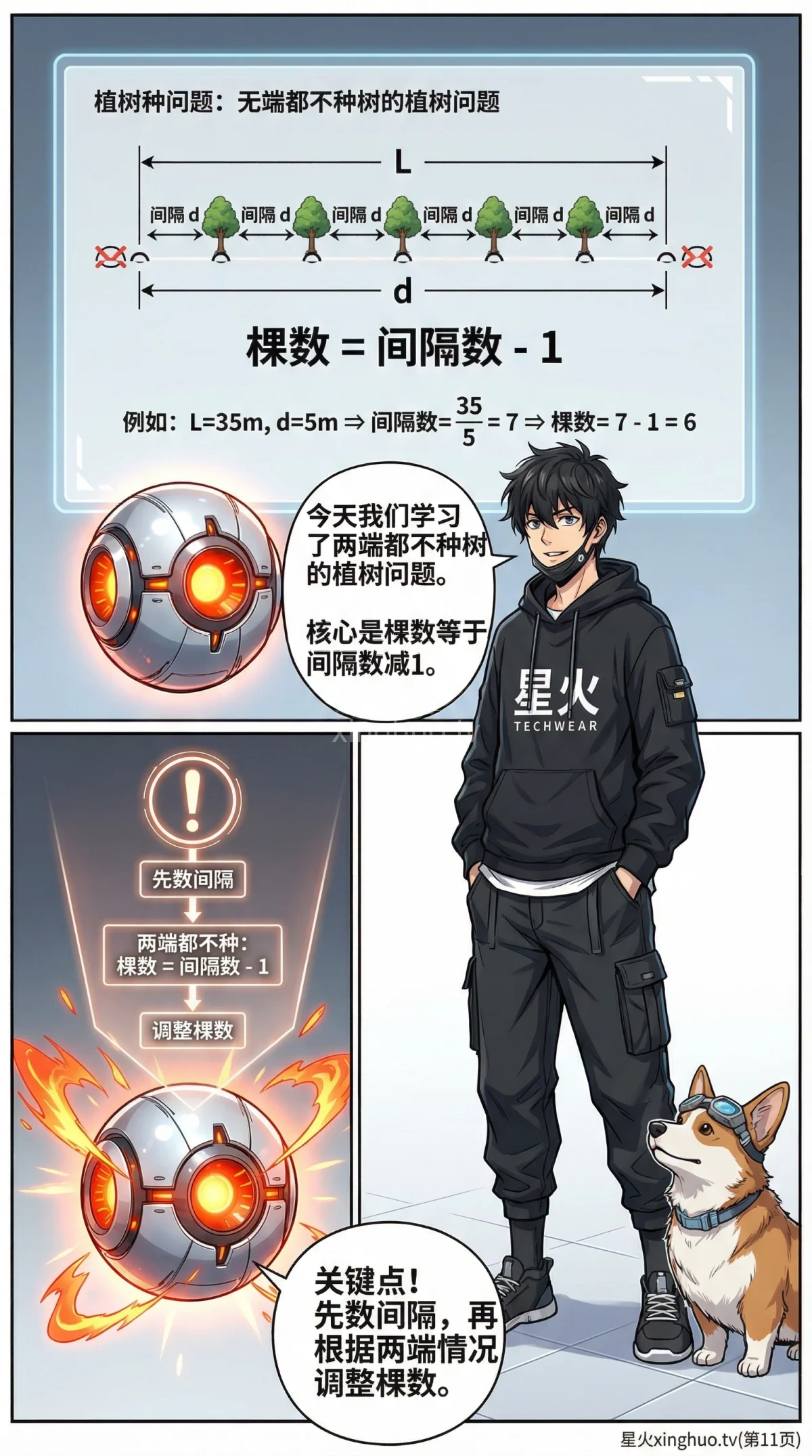 植树问题两端都不种：公式推导与例题解析 | 小学数学应用题 - 第 11 页