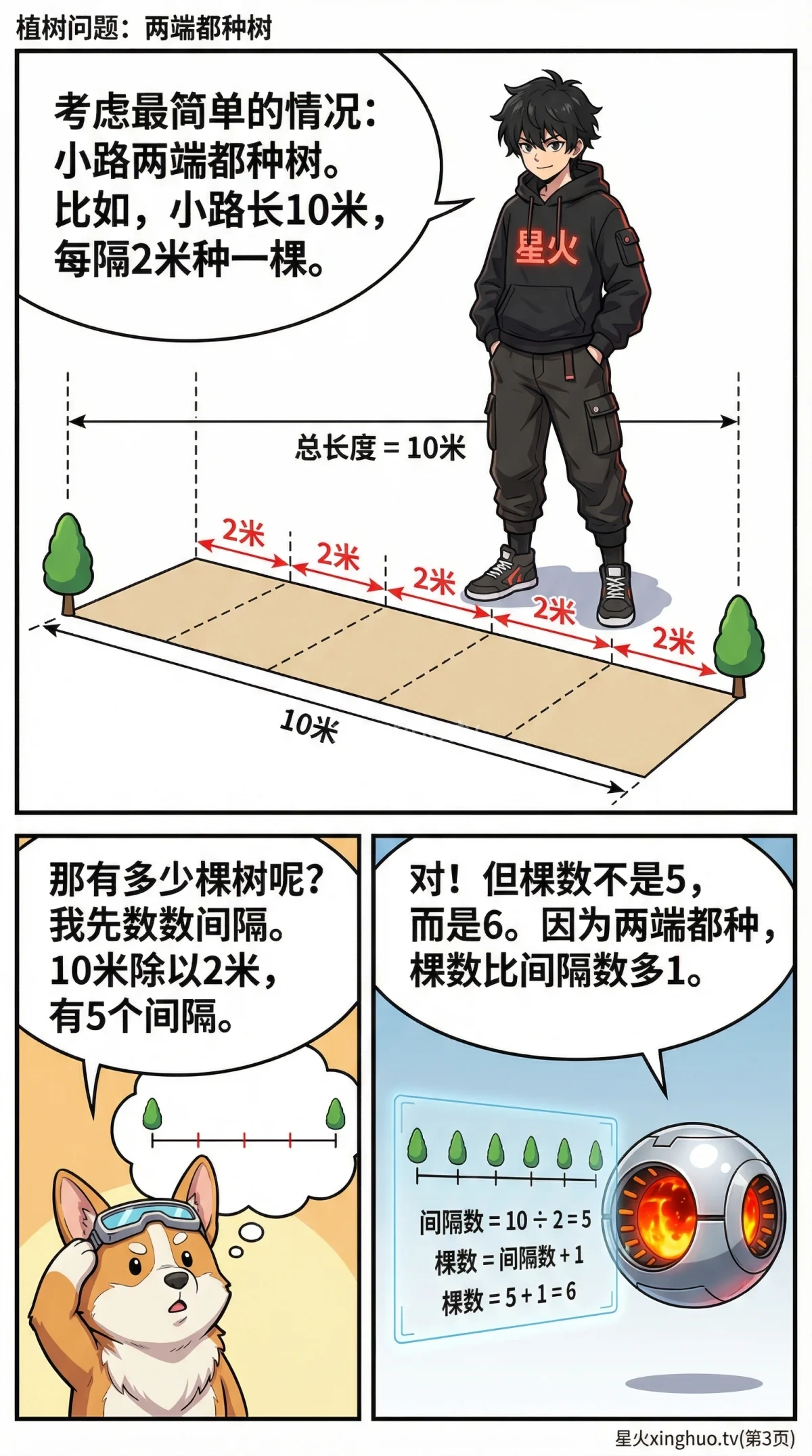 植树问题详解：一端种一端不种 | 核心公式与例题解析 - 第 3 页