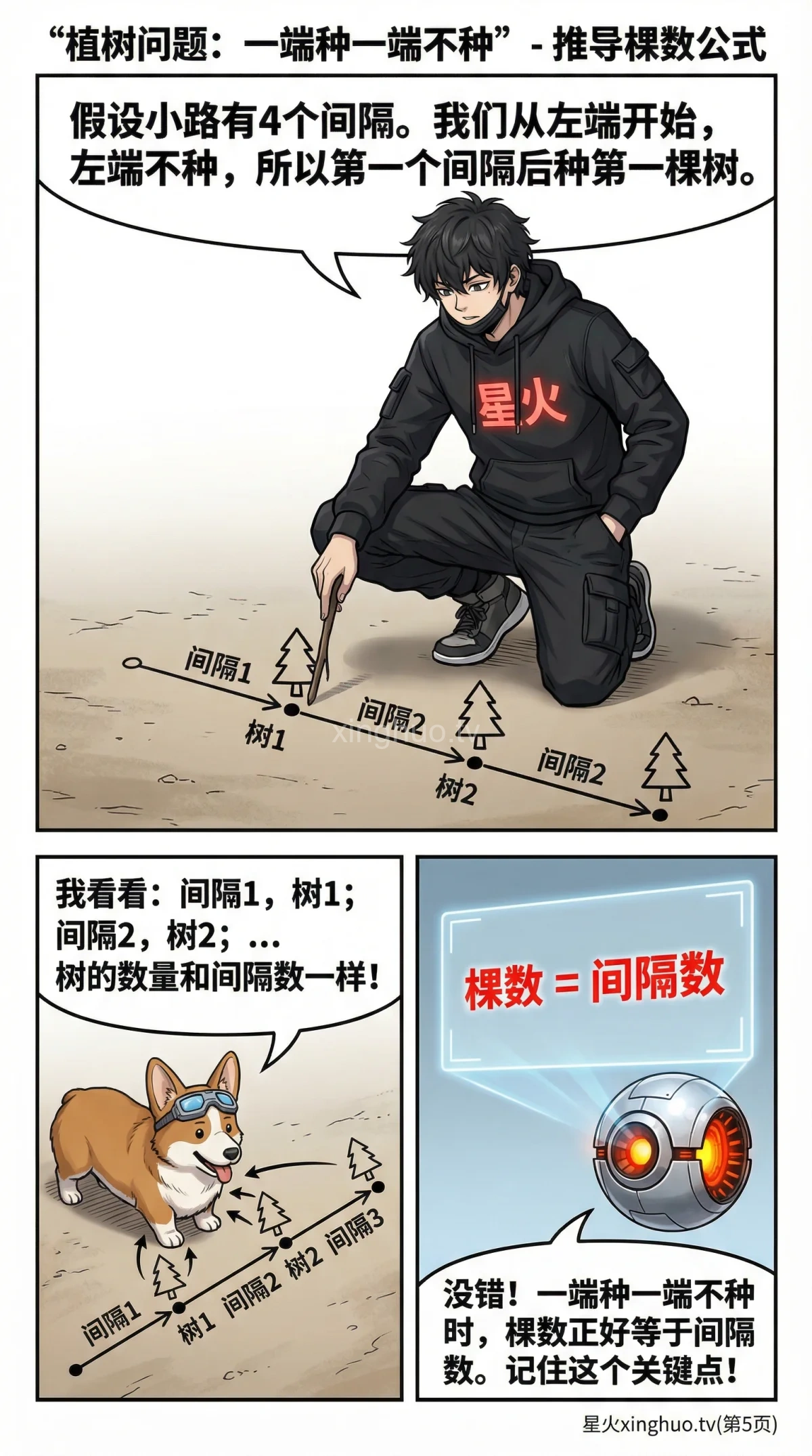 植树问题详解：一端种一端不种 | 核心公式与例题解析 - 第 5 页