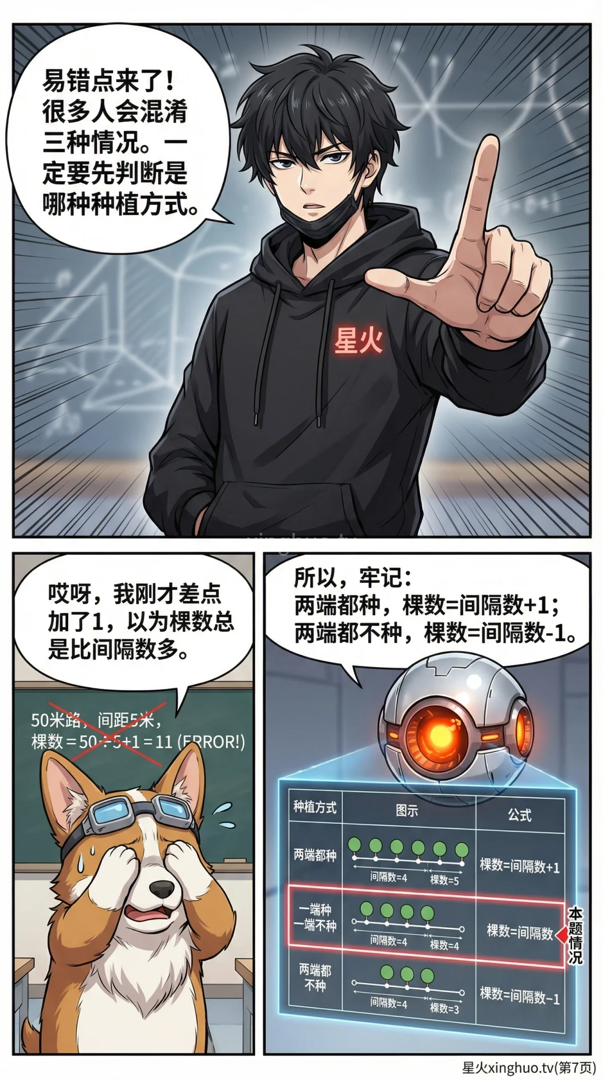 植树问题详解：一端种一端不种 | 核心公式与例题解析 - 第 7 页