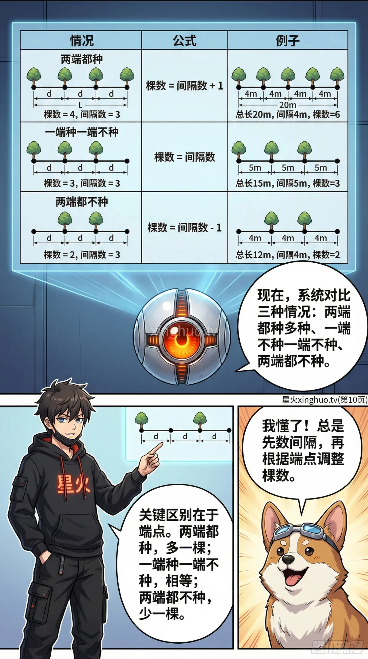 植树问题详解：一端种一端不种 | 核心公式与例题解析 - 第 10 页