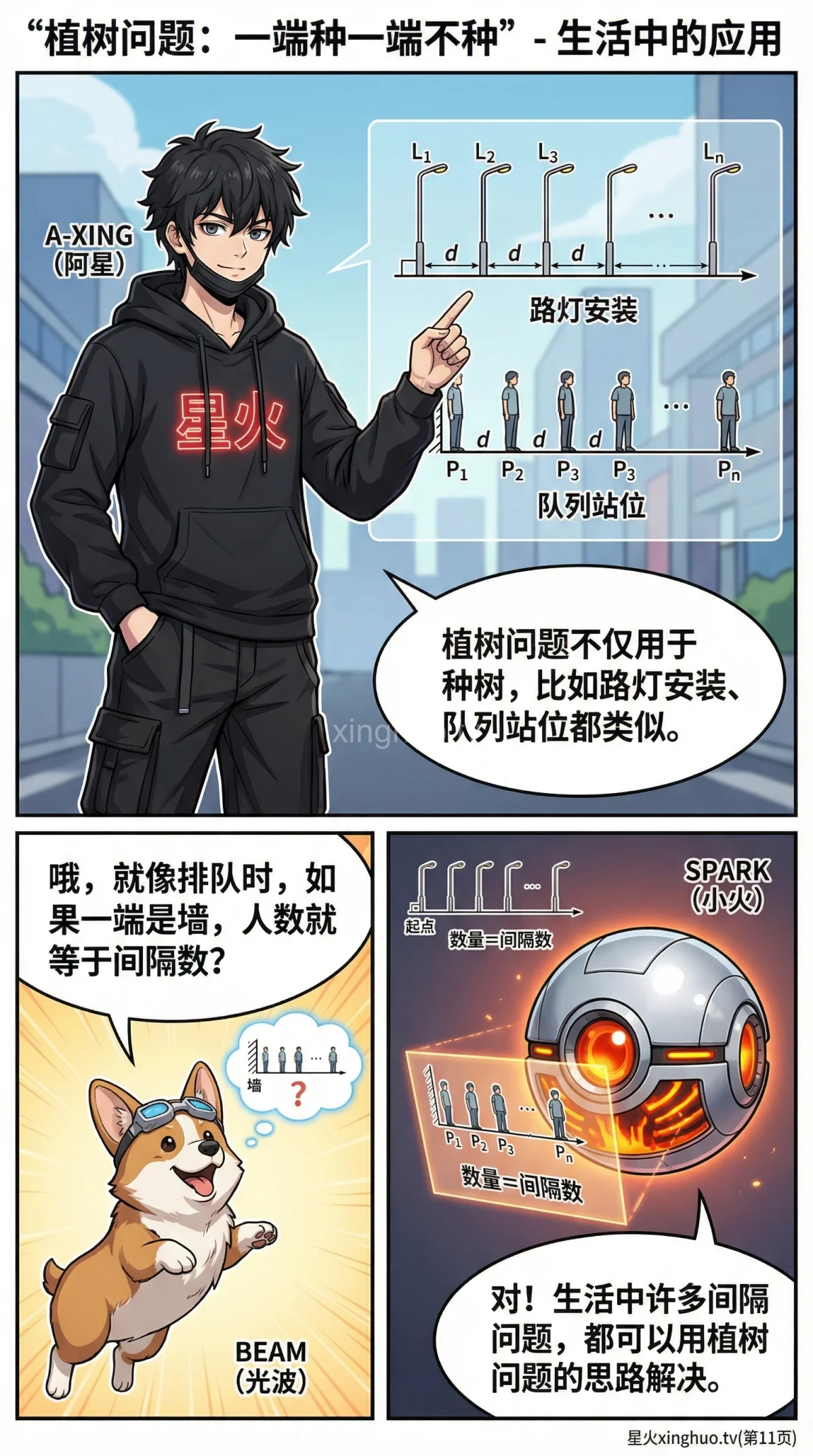 植树问题详解：一端种一端不种 | 核心公式与例题解析 - 第 11 页
