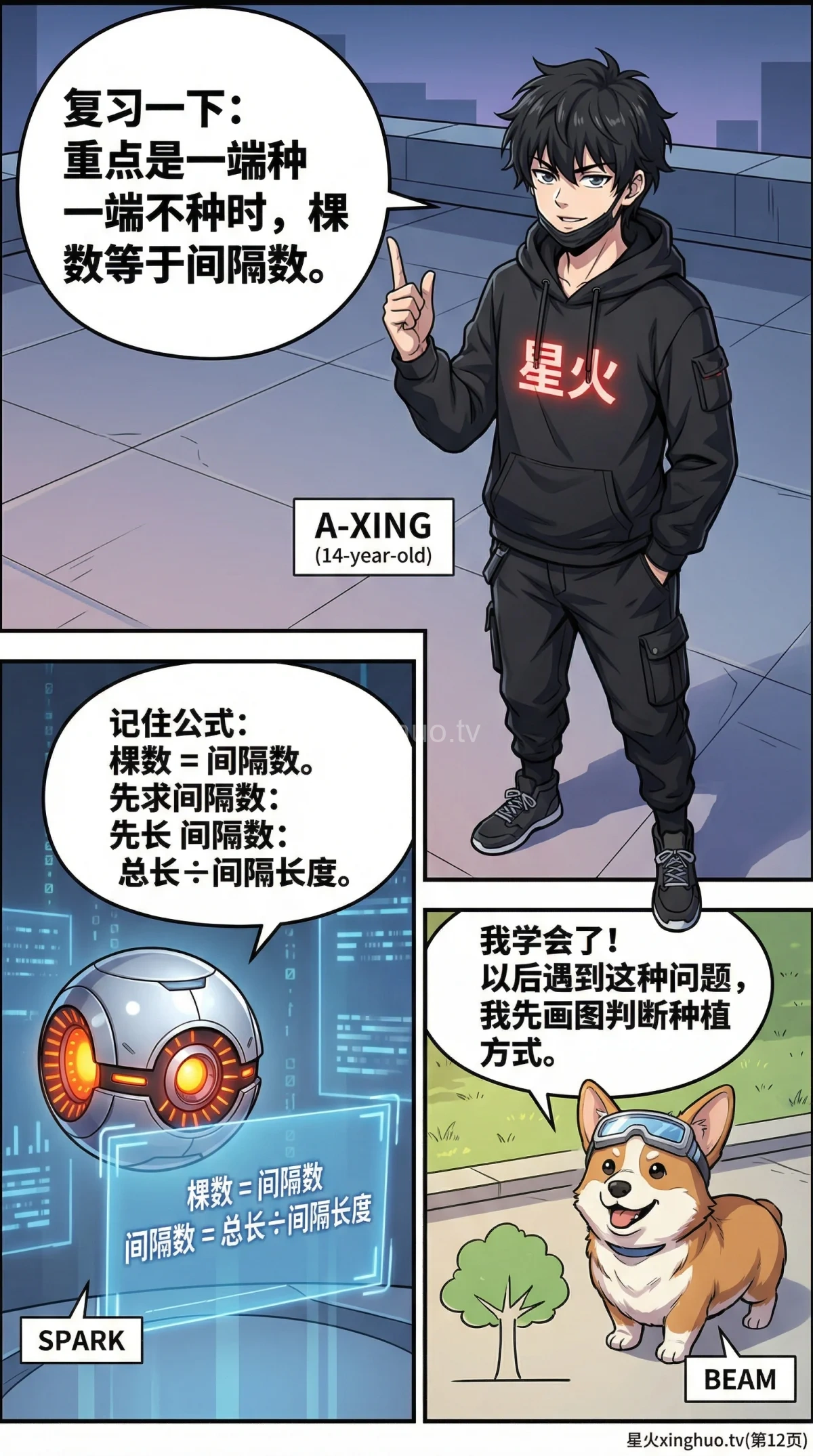 植树问题详解：一端种一端不种 | 核心公式与例题解析 - 第 12 页