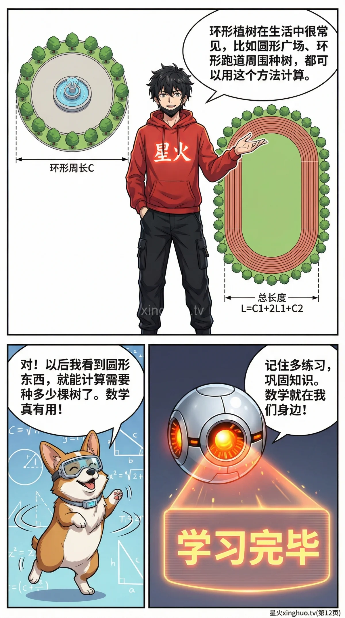 环形植树问题详解：核心公式、解题步骤与例题精讲 | 小学数学应用题 - 第 12 页