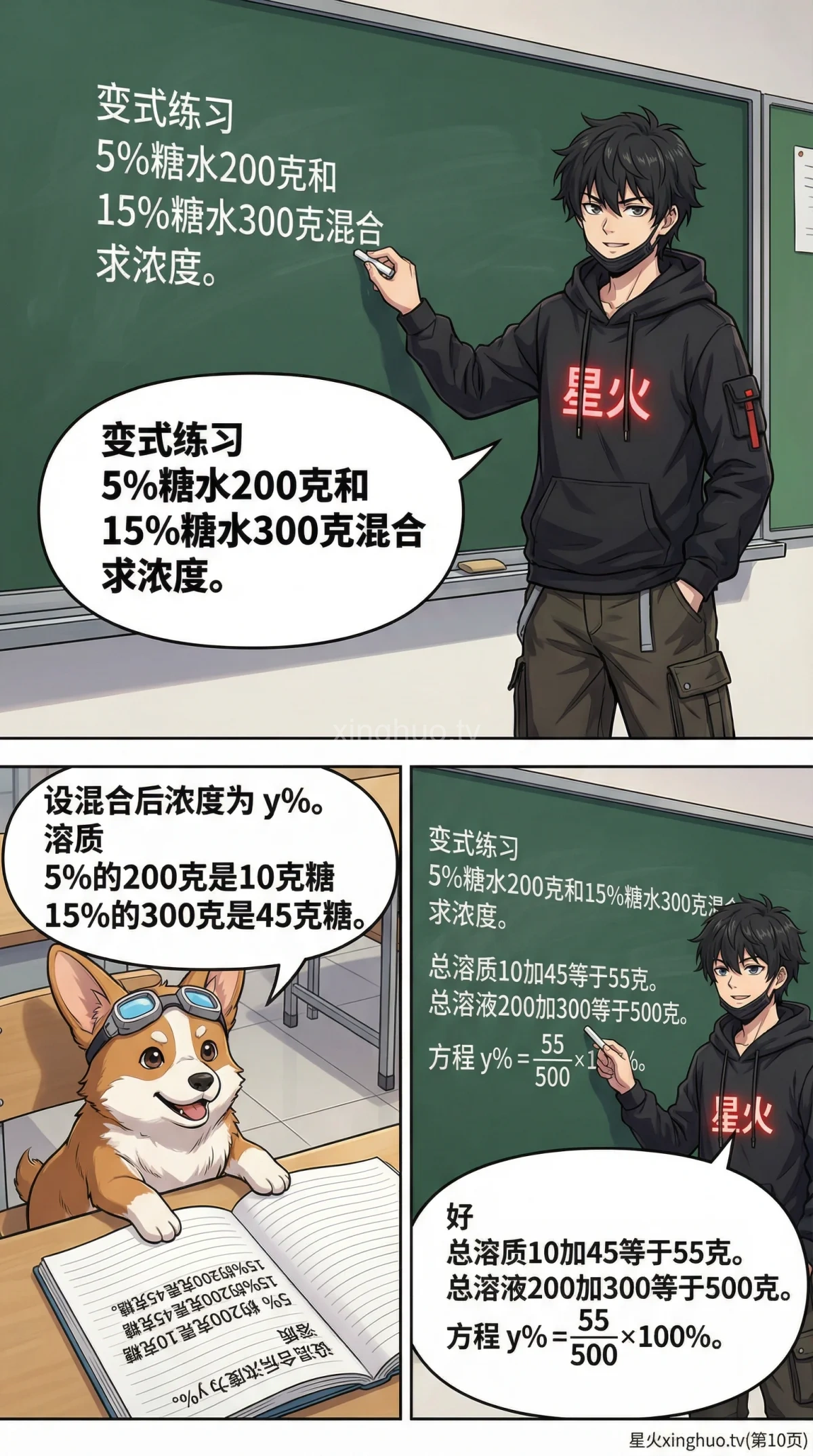 浓度问题详解：溶液计算与方程应用解题方法 - 第 10 页