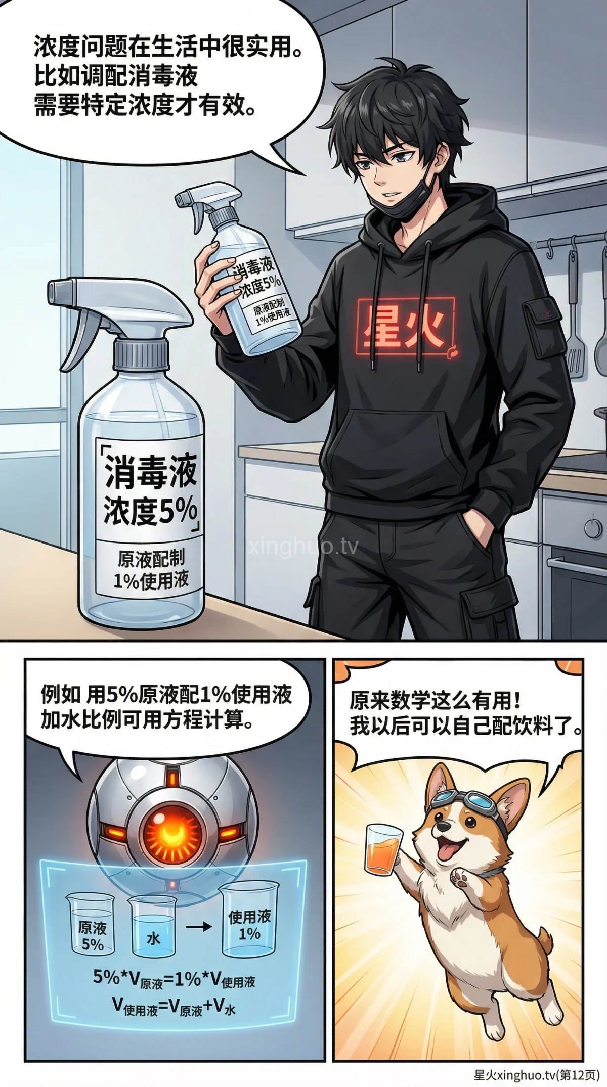 浓度问题详解：溶液计算与方程应用解题方法 - 第 12 页