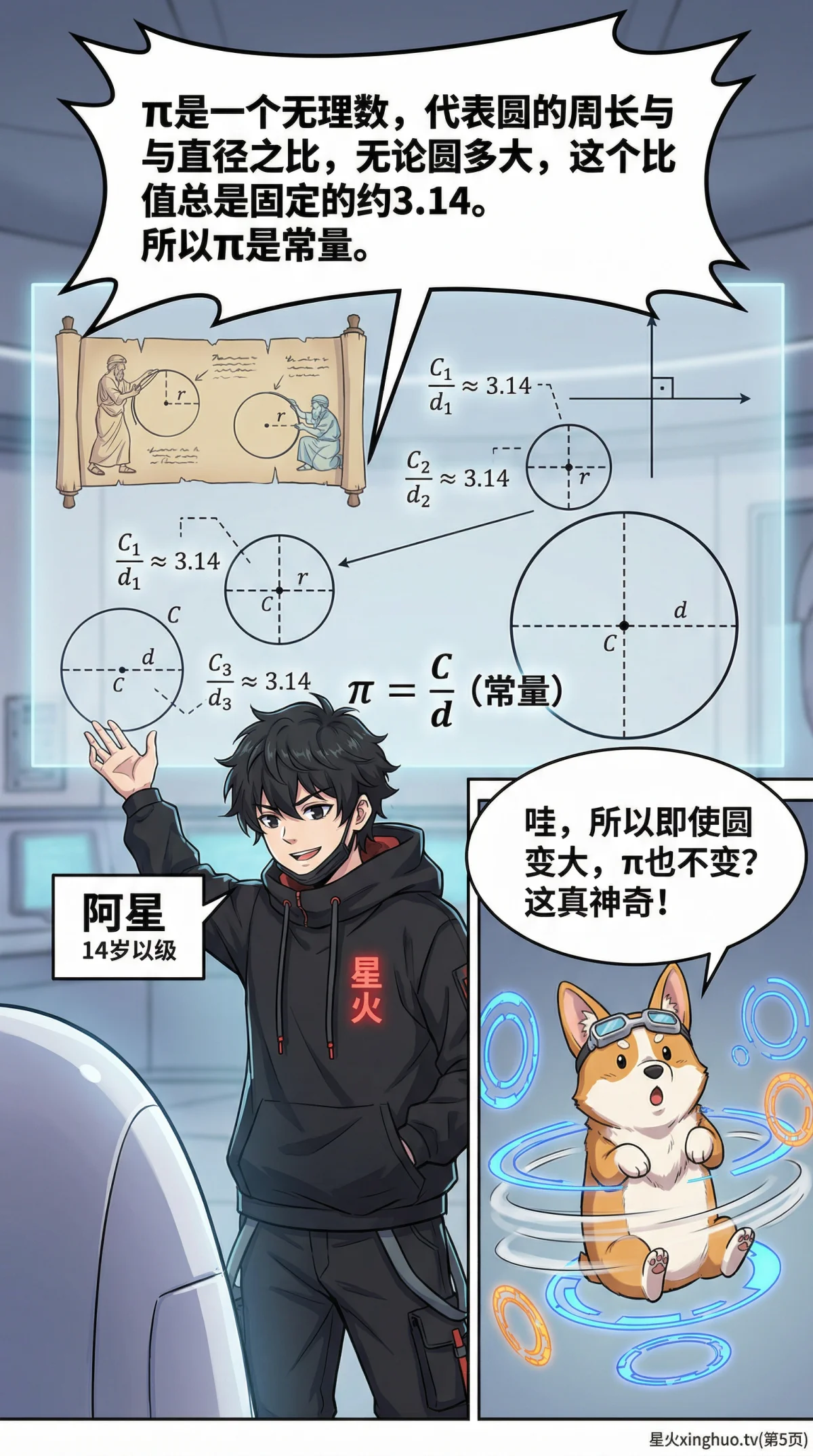 函数中的变量与常量详解：概念、区别与实例解析 | 初中数学 - 第 5 页