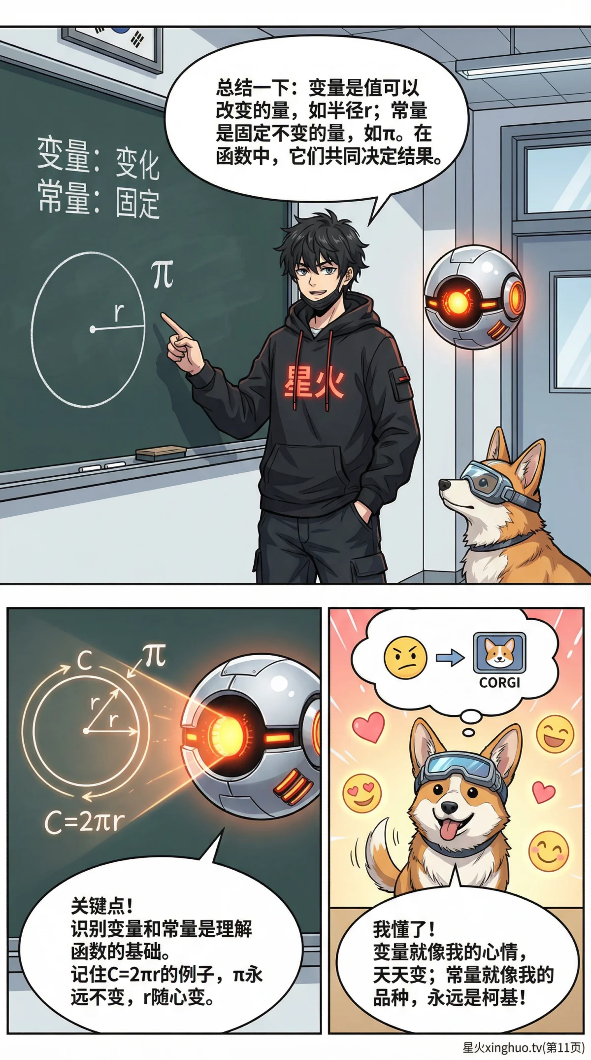 函数中的变量与常量详解：概念、区别与实例解析 | 初中数学 - 第 11 页