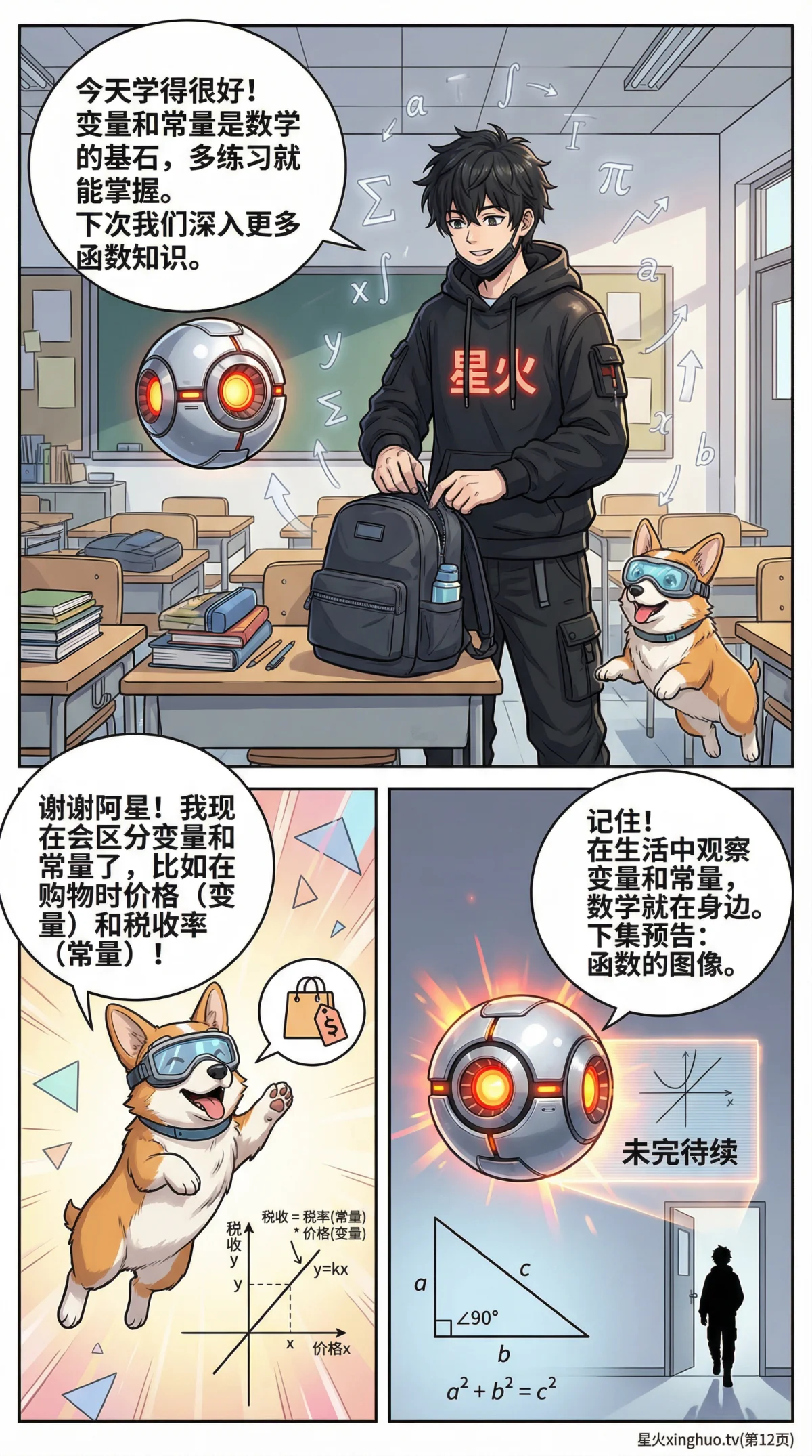 函数中的变量与常量详解：概念、区别与实例解析 | 初中数学 - 第 12 页