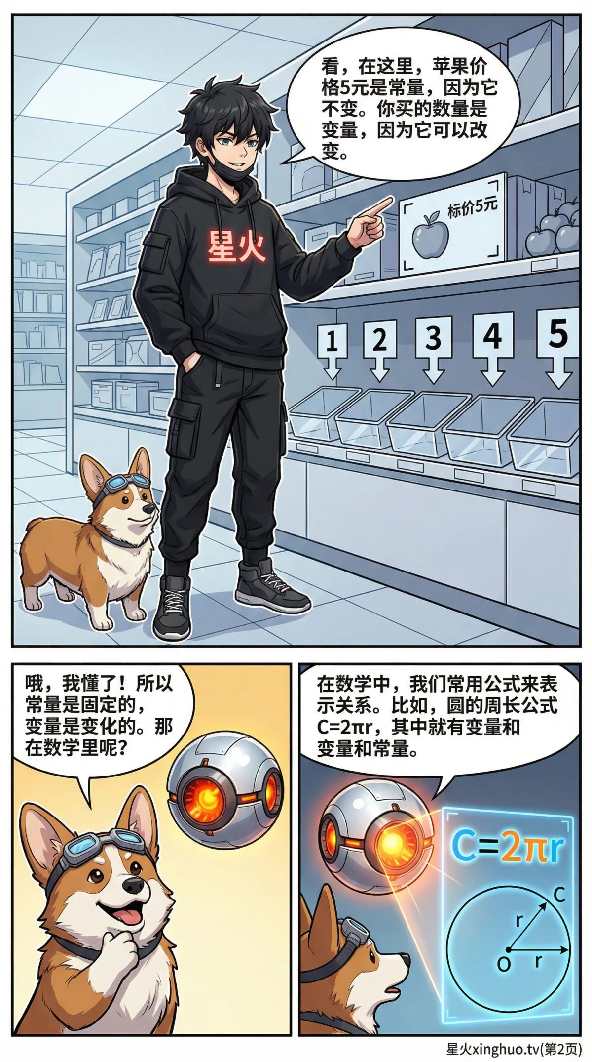 函数中的变量与常量详解：概念、区别与实例解析 | 初中数学 - 第 2 页