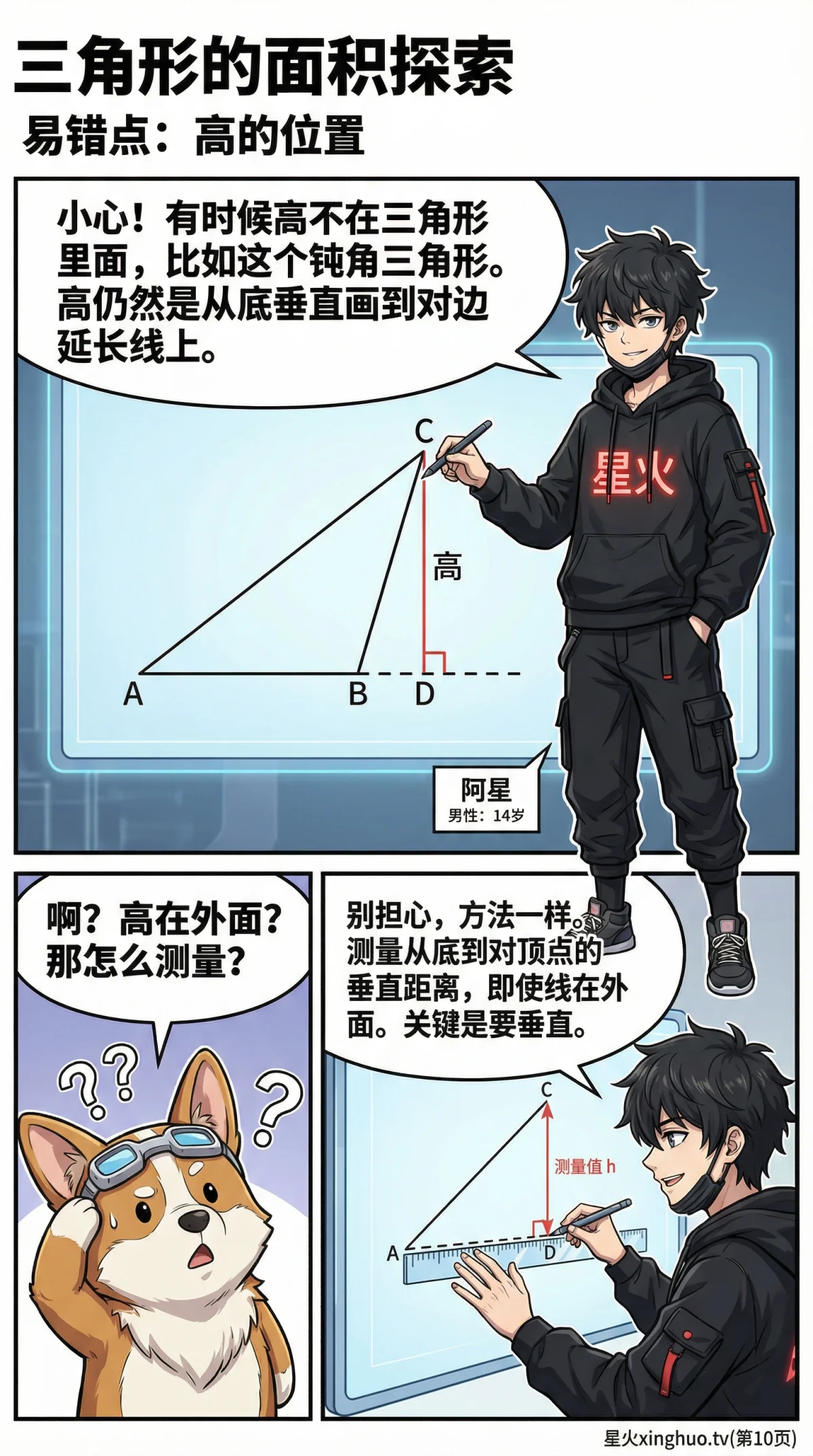 三角形面积公式详解：计算方法、步骤与例题全解析 - 第 10 页