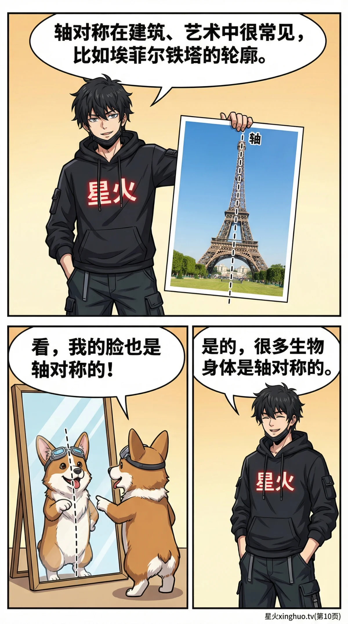 轴对称图形详解：定义、观察方法与折纸实践教学 - 第 10 页