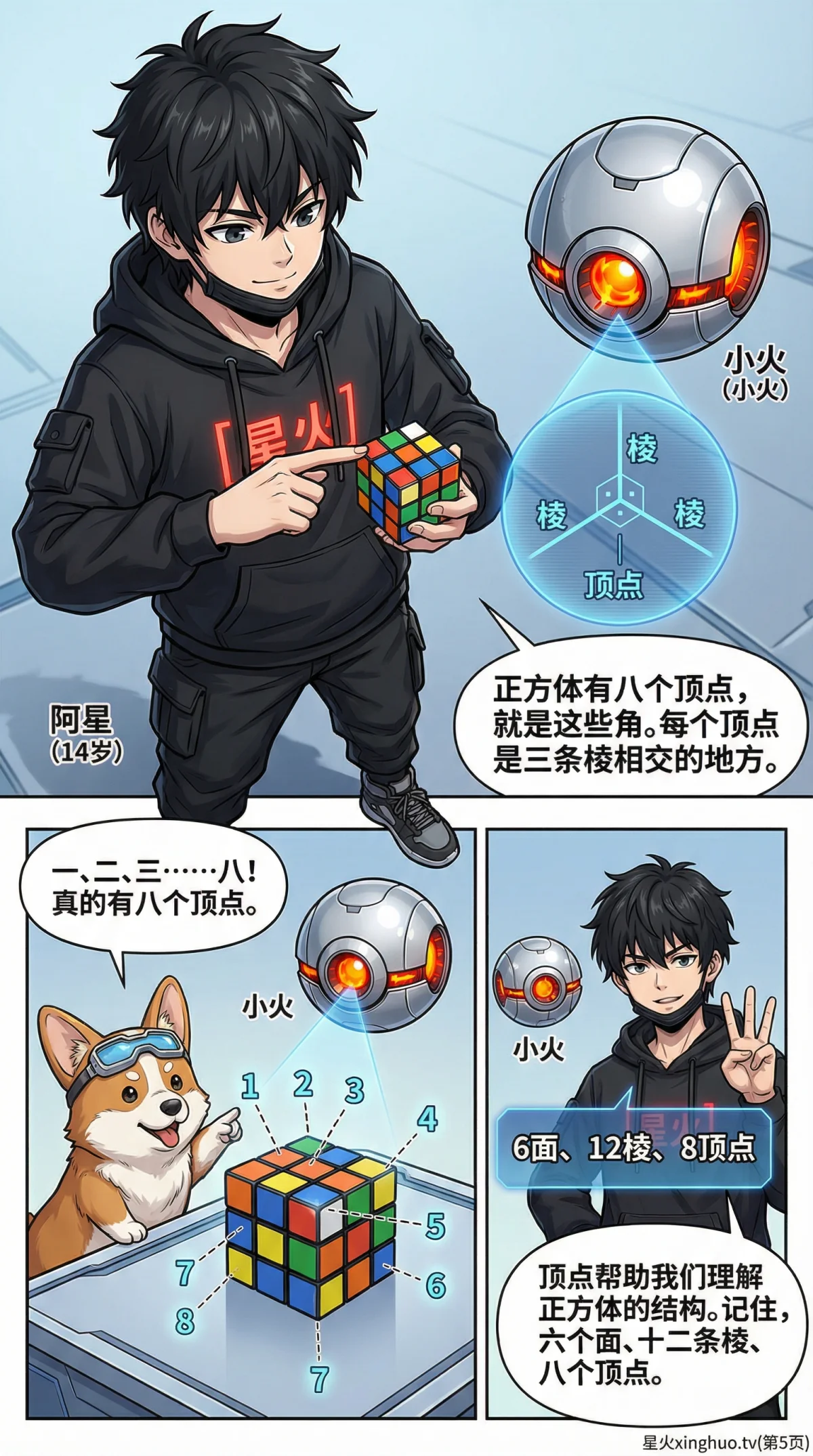 正方体的认识：性质、展开图与计算方法详解 | 数学几何教学 - 第 5 页