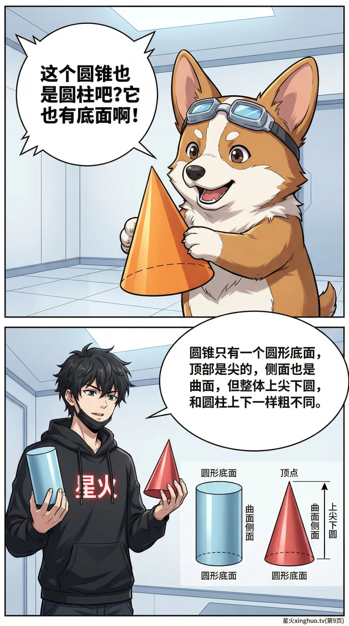 圆柱的认识详解：图形、公式与知识点全解析 | 小学数学几何 - 第 9 页