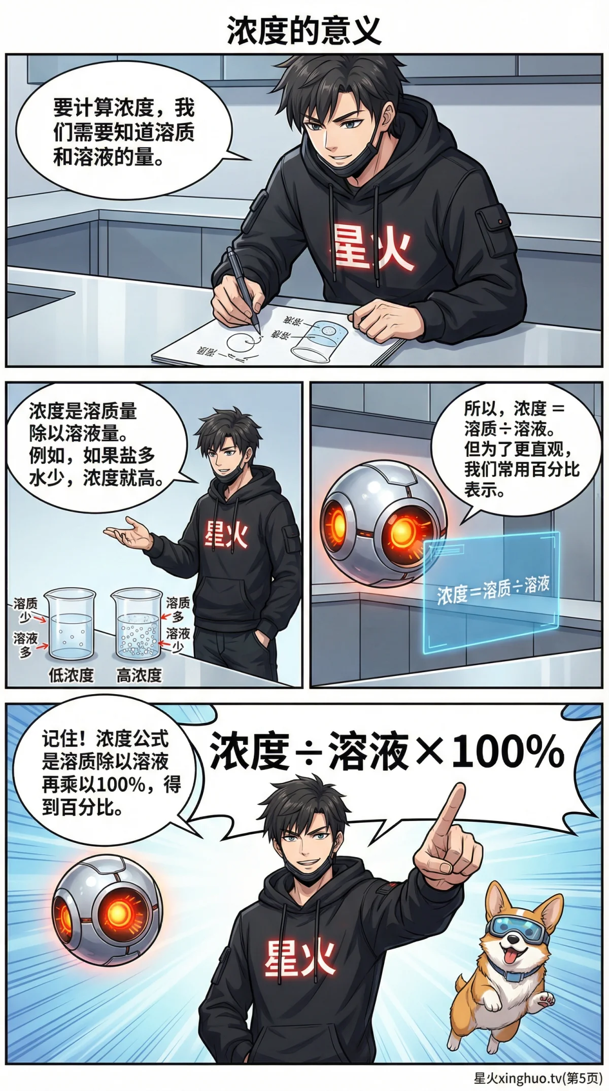 浓度问题详解：溶质溶剂关系与溶液计算方法教学 - 第 5 页