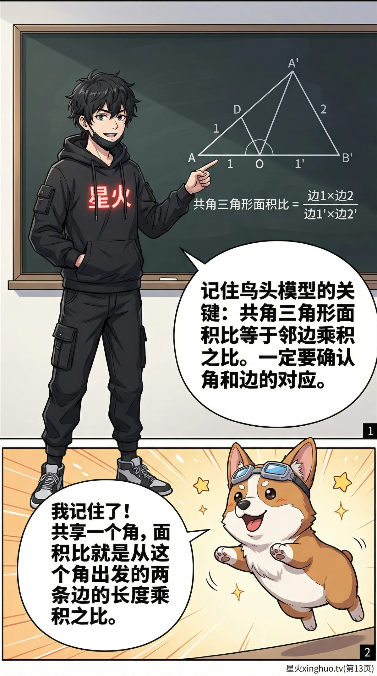 鸟头模型(共角模型)详解：原理、公式与经典例题解析 - 第 13 页